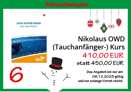 Angebot vom 05.12.2023